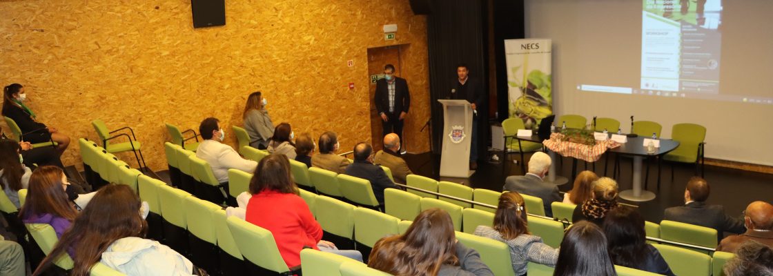 Empreendedorismo debatido em Sousel com homenagem a empresários do concelho