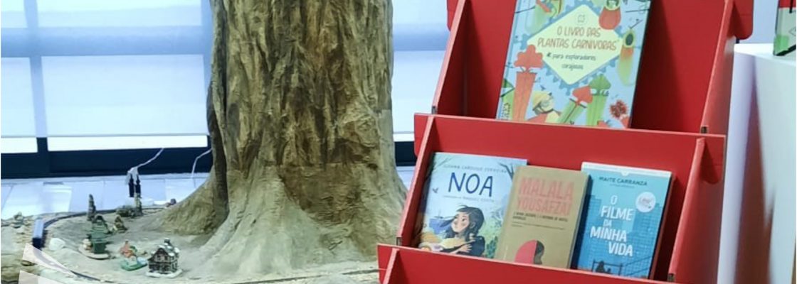 “Juntos de Férias”: O desafio de leitura regressa à Biblioteca Municipal