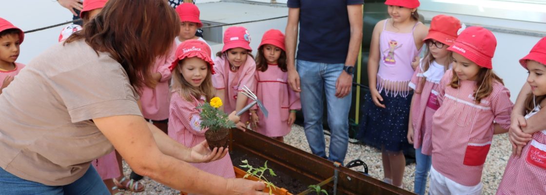 Horta Biológica no Centro Escolar de Sousel: Educação e Sustentabilidade em Ação