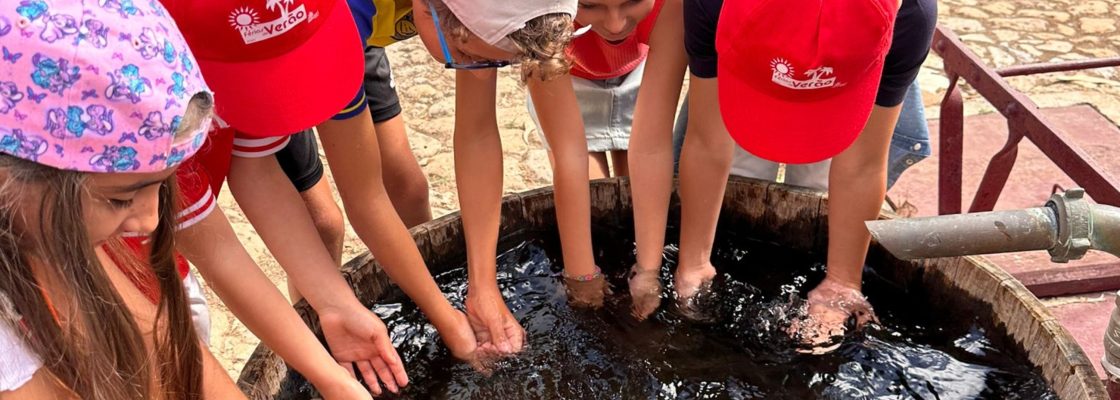 Férias de Verão: Crianças exploraram saberes e sabores do concelho