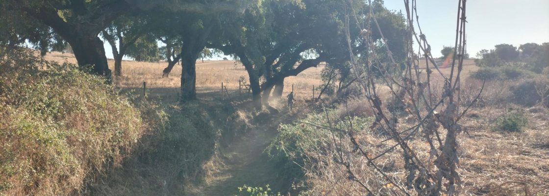 Município Realiza Limpeza e Manutenção das Linhas de Água para Prevenir Cheias e Preservar o ...