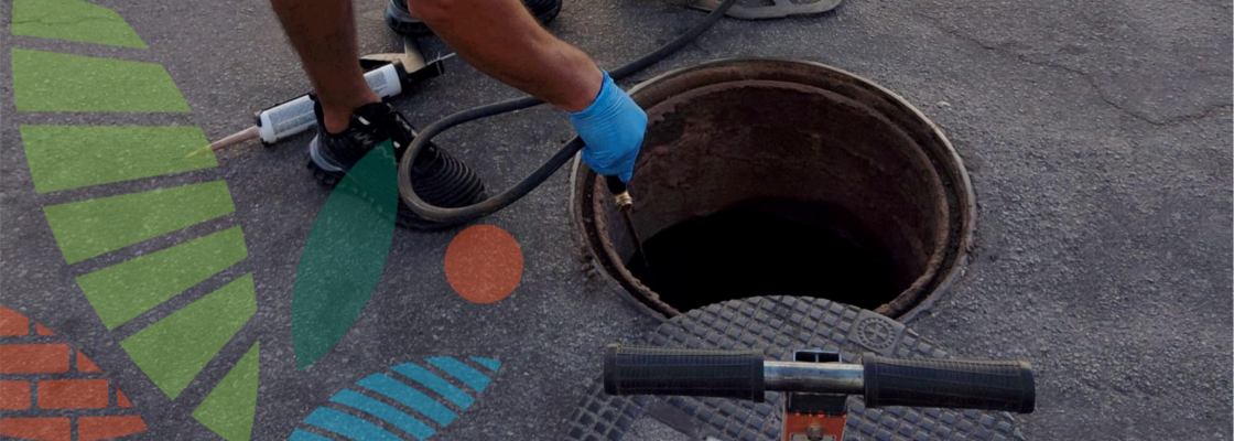 Controlo de pragas no concelho de Sousel