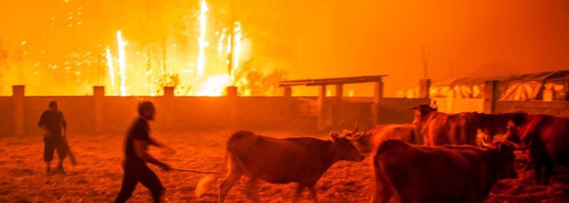 A pedido da COPSEL, partilhamos esta informação de caráter solidário