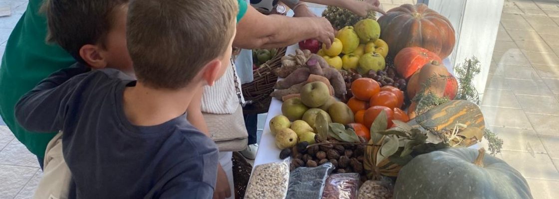 Semana da Alimentação Saudável nas Escolas de Sousel