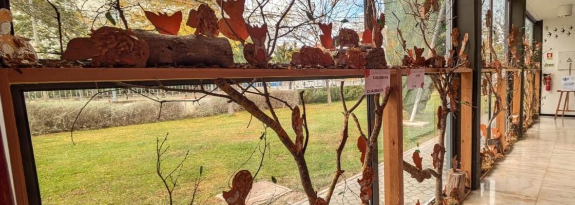 Museu dos Cristos expõe trabalhos das crianças das oficinas criativas de Outono