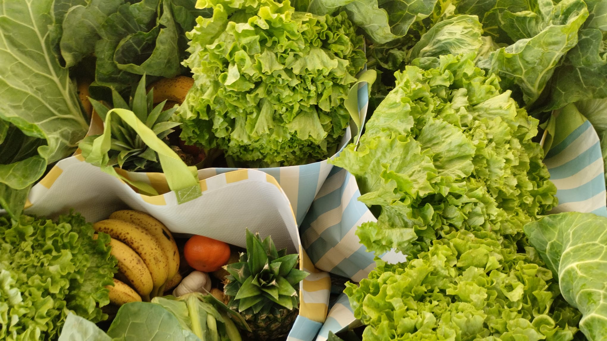 cabazes_carenciadas2025